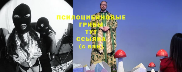 PSILOCYBIN Гусиноозёрск