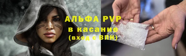 СК Горняк