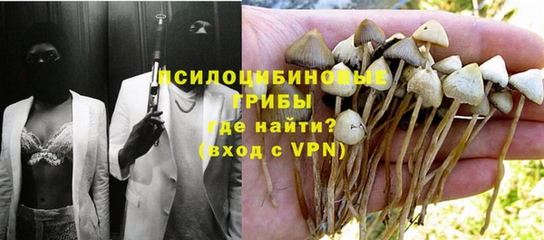 СК Горняк